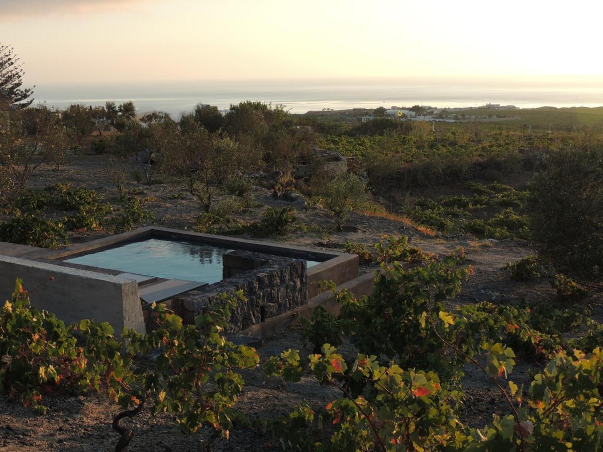 Villa Apaggio Santorini Vourvoúlos Eksteriør bilde